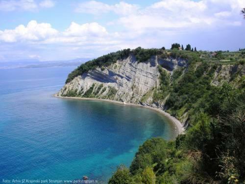 Апартаменты Amazing View Pirano Экстерьер фото